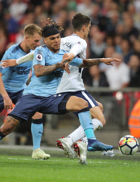 东契奇在N 东契奇在N