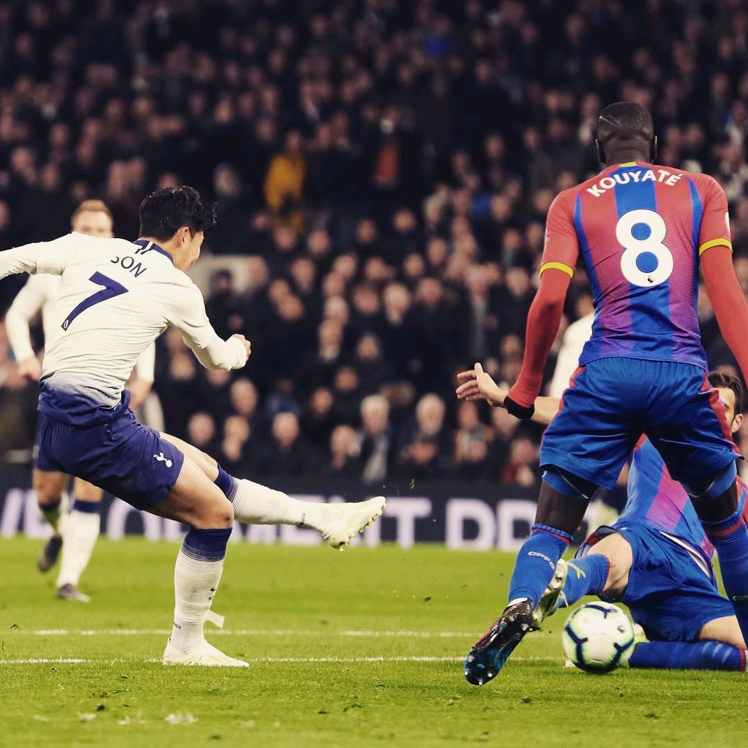 导致部分战 导致部分战